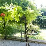 Les Trois Jardins Avec Wifi Et Parking Gratuit Ferienhaus *