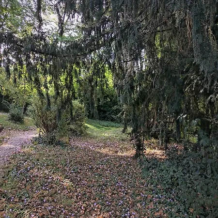 Les Trois Jardins Avec Wifi Et Parking Gratuit *